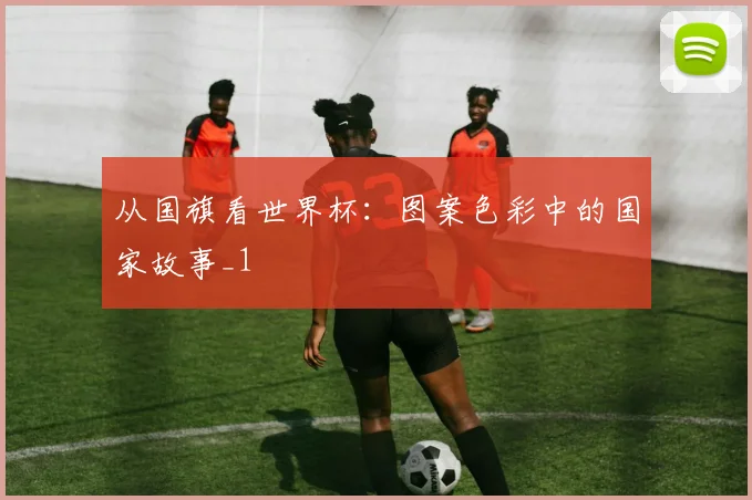 从国旗看世界杯：图案色彩中的国家故事_1