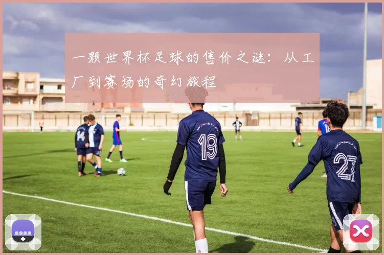一颗世界杯足球的售价之谜：从工厂到赛场的奇幻旅程
