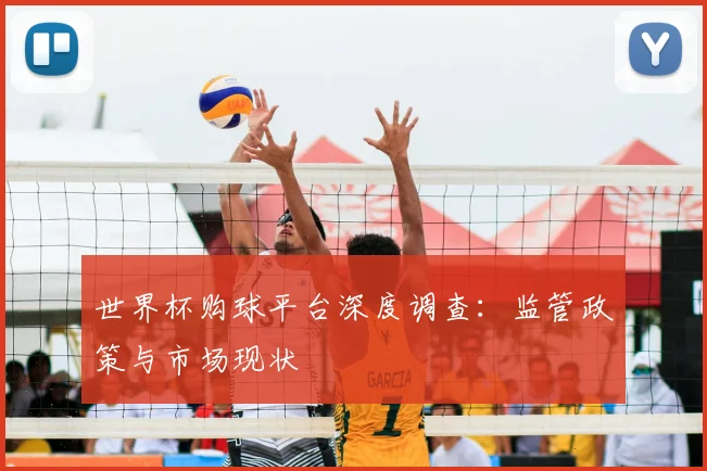 世界杯购球平台深度调查：监管政策与市场现状
