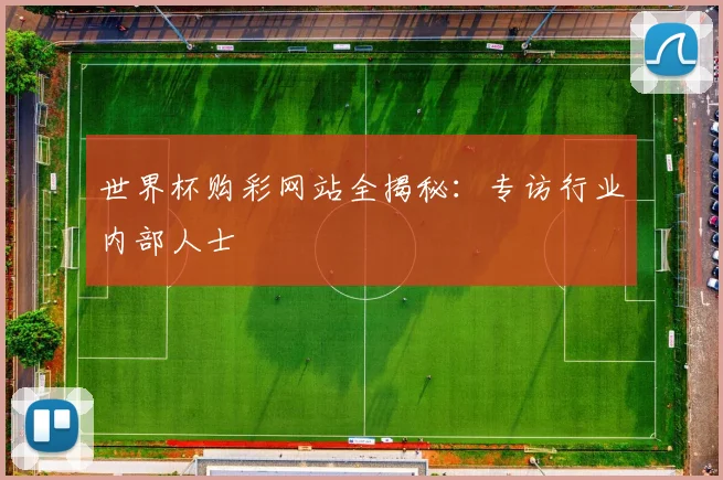 世界杯购彩网站全揭秘：专访行业内部人士