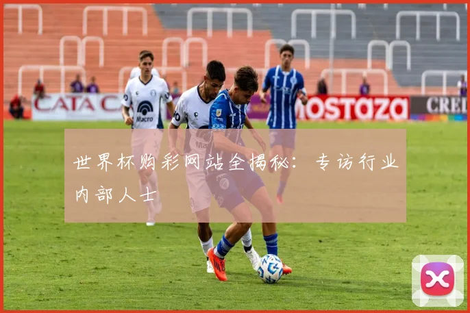 世界杯购彩网站全揭秘：专访行业内部人士