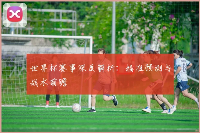 世界杯赛事深度解析：精准预测与战术前瞻