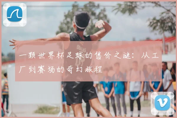 一颗世界杯足球的售价之谜：从工厂到赛场的奇幻旅程