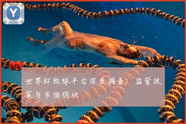 世界杯购球平台深度调查：监管政策与市场现状