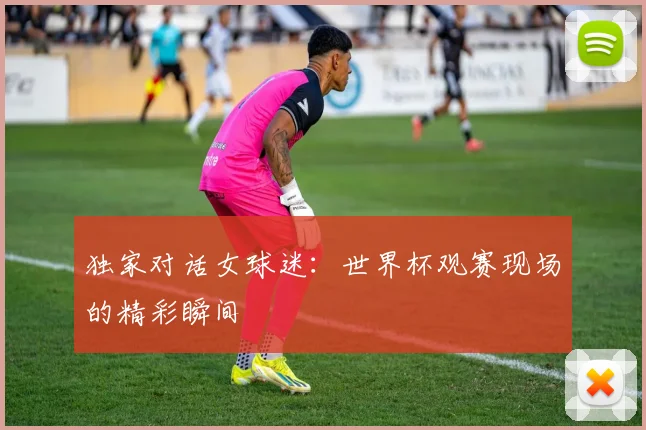 独家对话女球迷：世界杯观赛现场的精彩瞬间