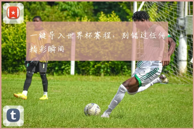 一键导入世界杯赛程，别错过任何精彩瞬间