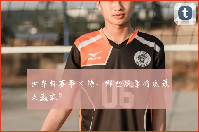 世界杯赛事火热，哪些股票将成最大赢家？