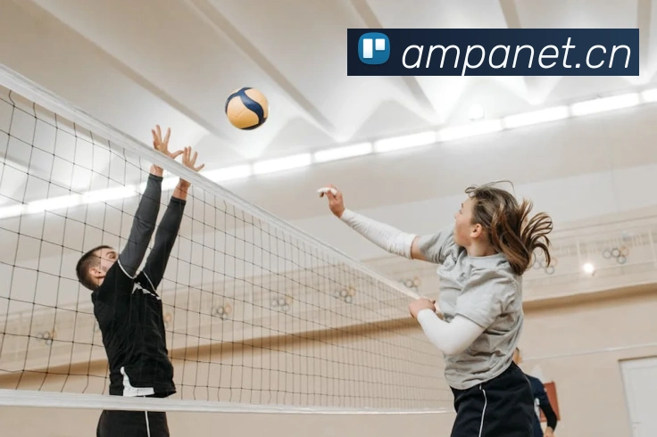 App Interface Preview